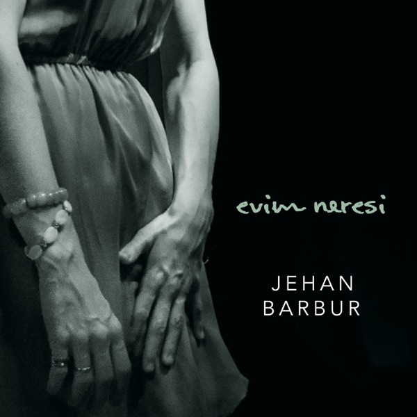 Evim Neresi album cover