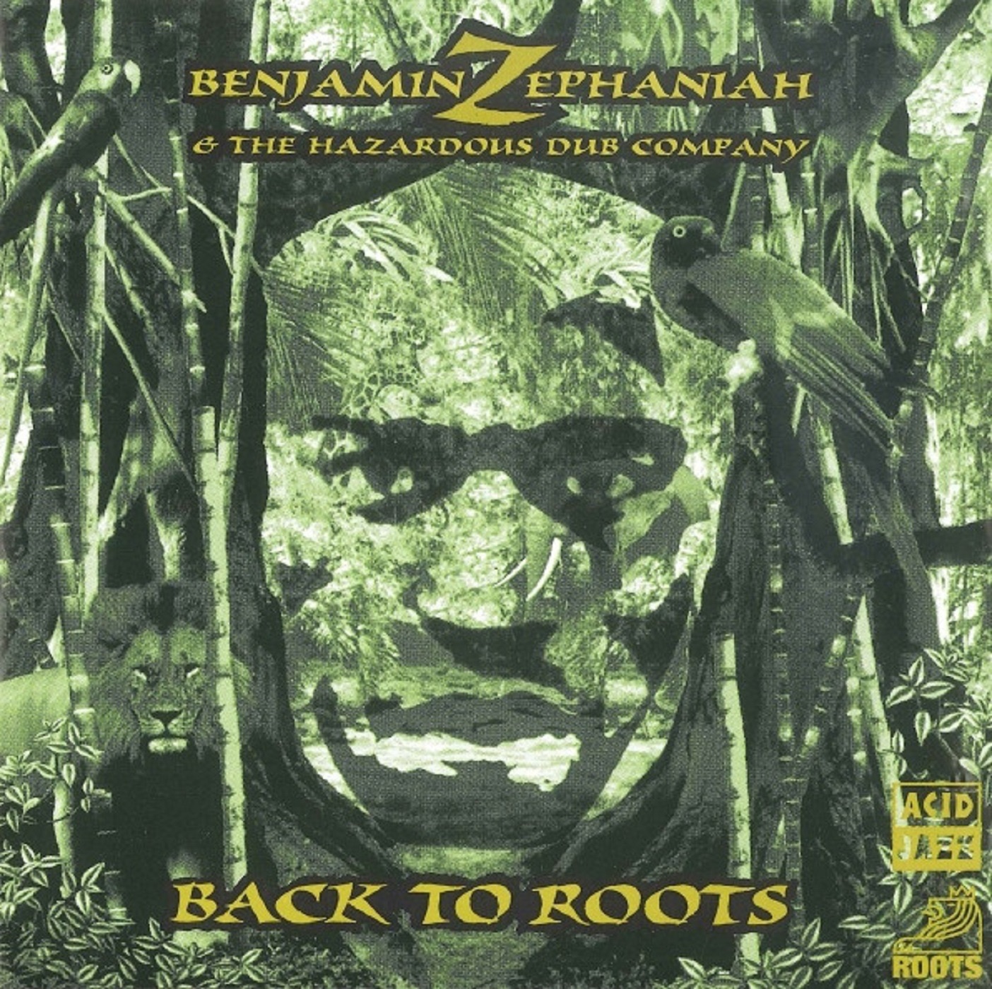 Back to Roots album cover