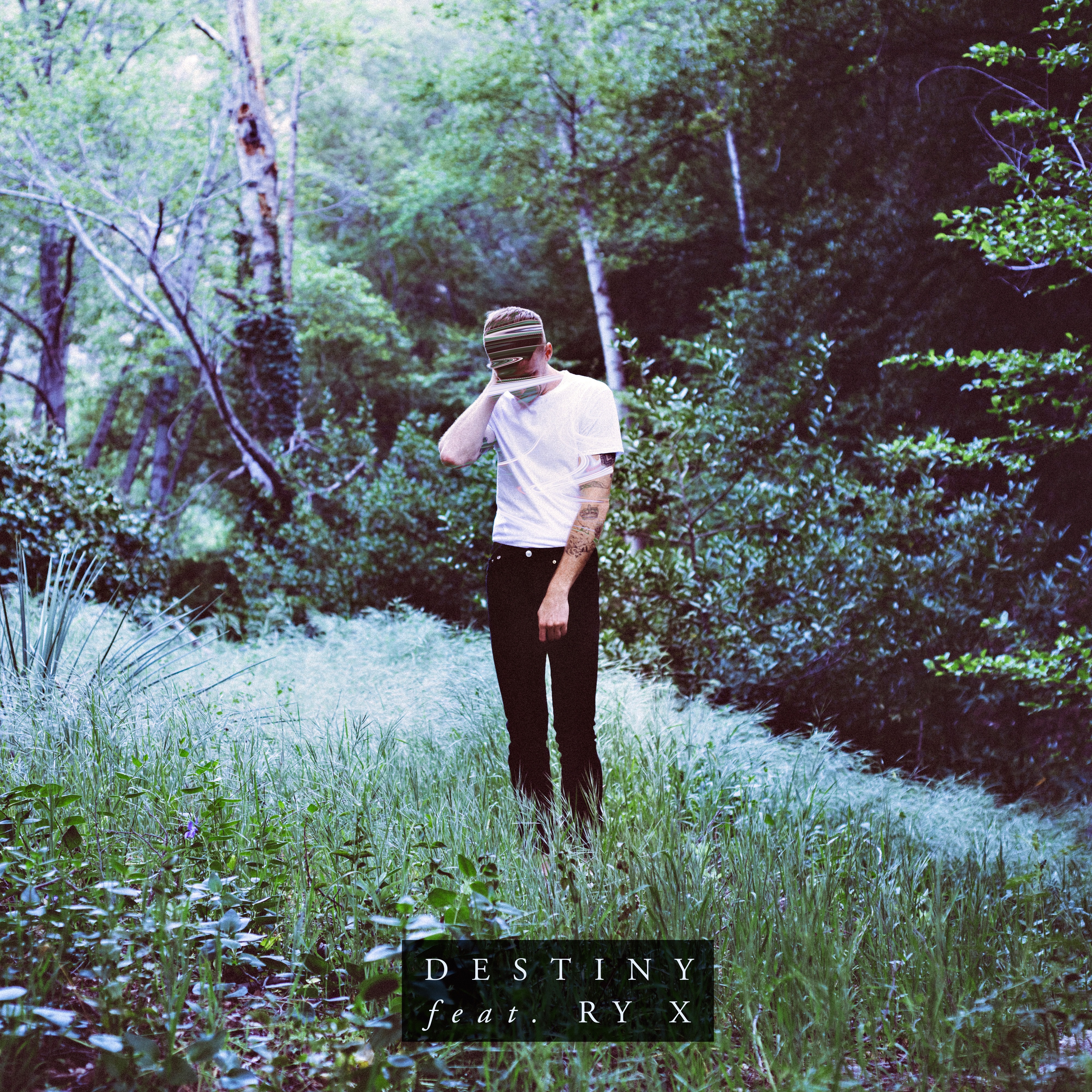 Destiny - Single album cover