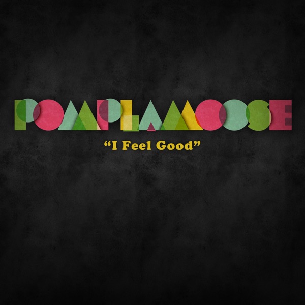 I Feel Good - Single album cover