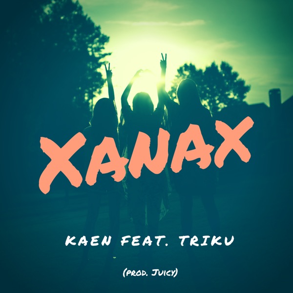 Xanax (feat. TriKu) - Single album cover
