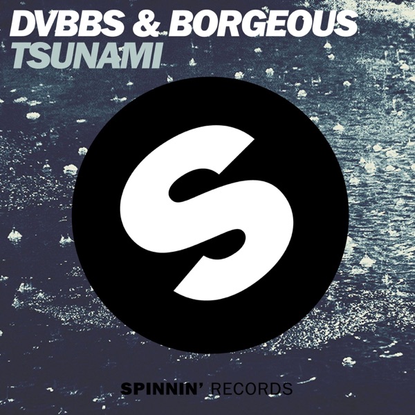 Tsunami (Radio Edit) - Single album cover
