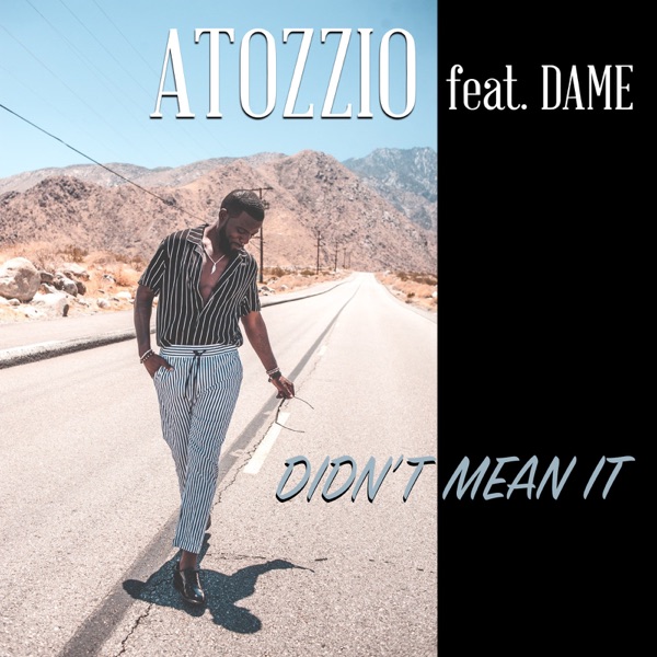 Didn't Mean It (feat. Dame) - Single album cover
