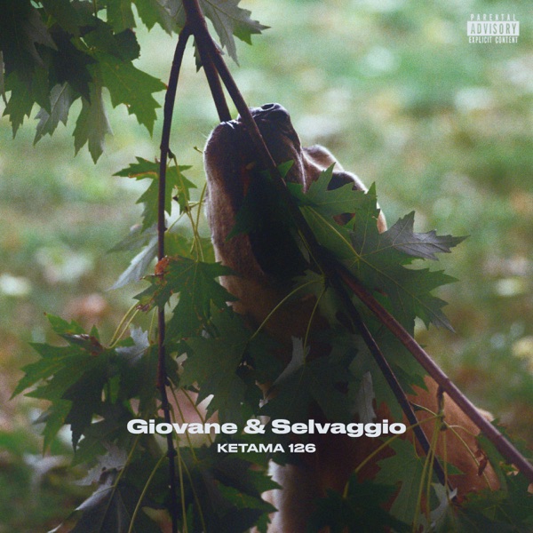 Giovane e Selvaggio - Single album cover