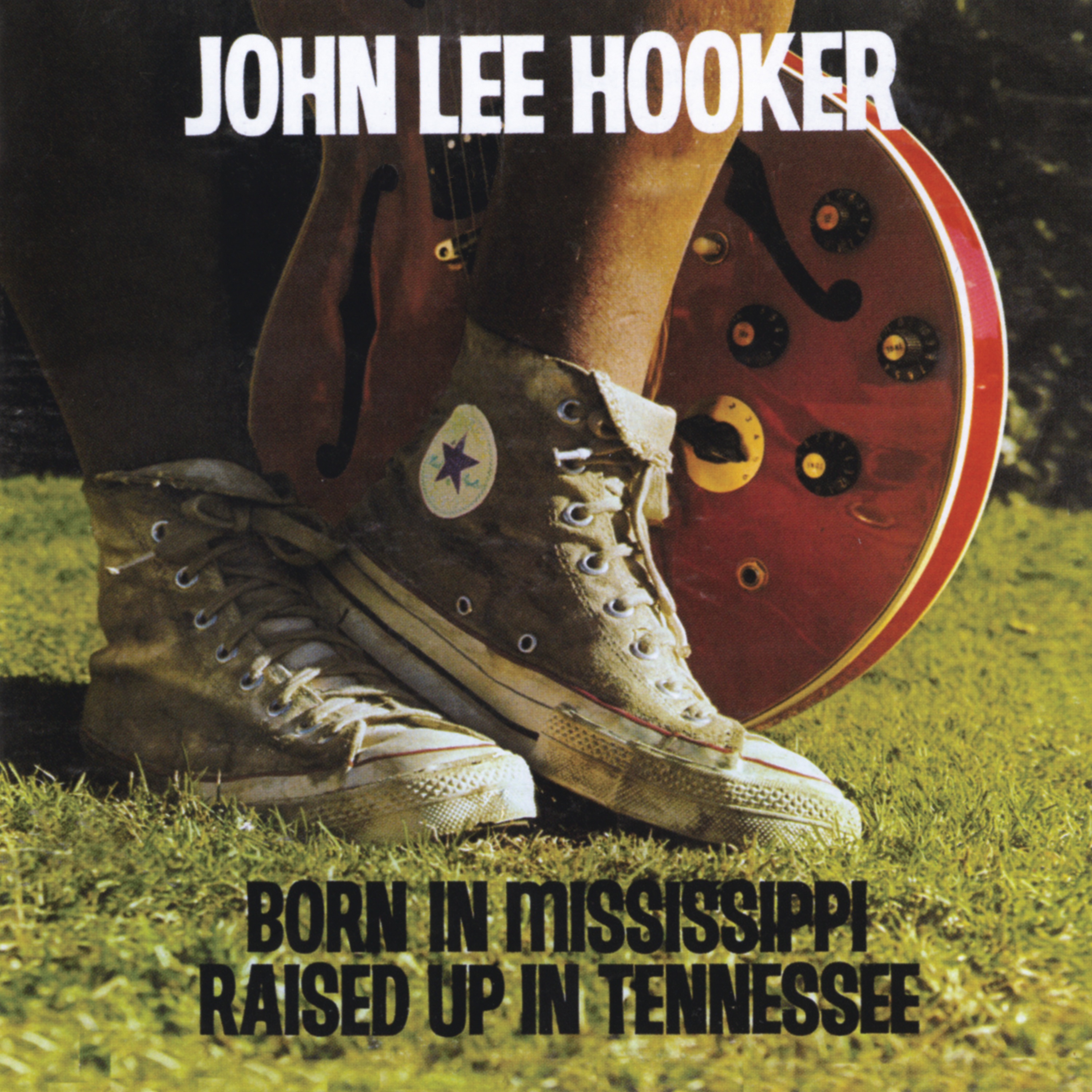Born in Mississippi, Raised up in Tennessee album cover
