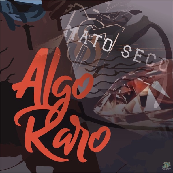 Algo Raro - Single album cover