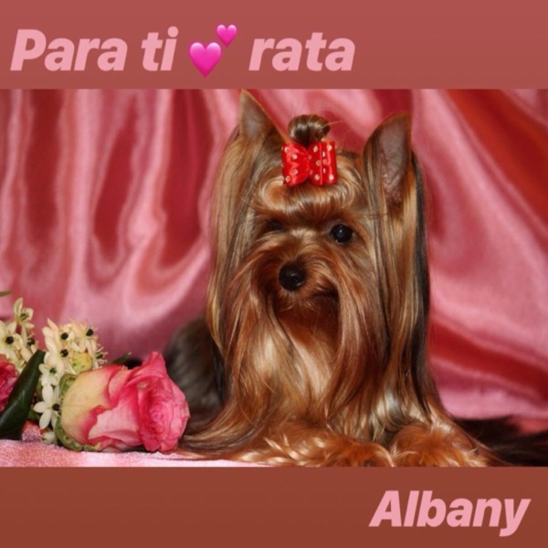 Para Ti Rata (feat. TWEAK) - Single album cover