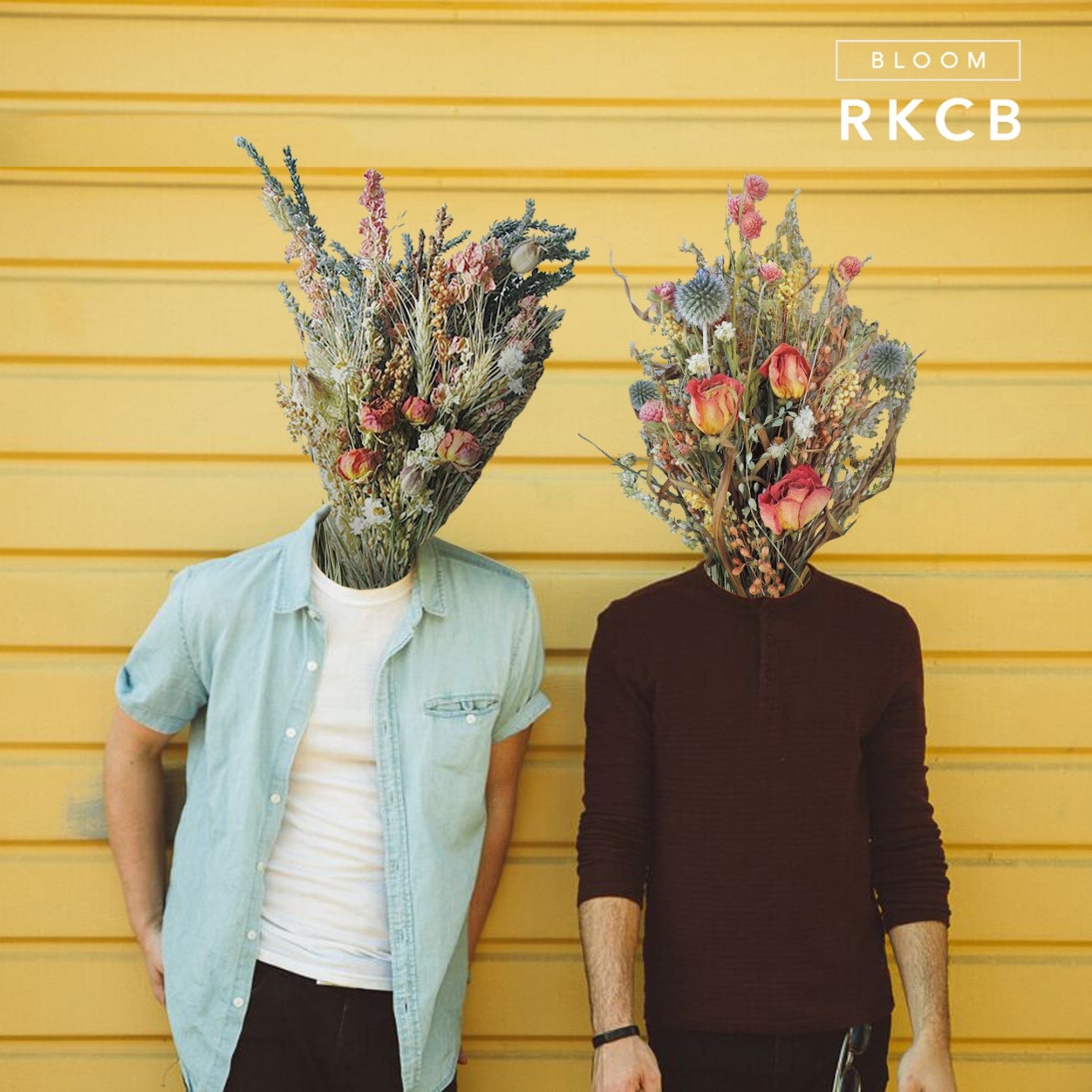 Bloom - Single album cover