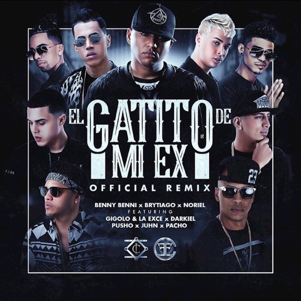 El Gatito de Mi Ex (Remix) [feat. Darkiel, Juhn, Pusho, Gigolo Y La Exce & Pacho] - Single album cover