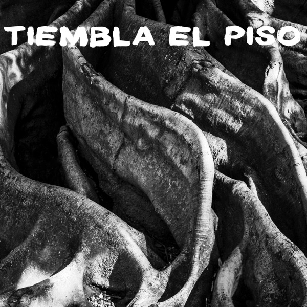 Tiembla el Piso - Single album cover
