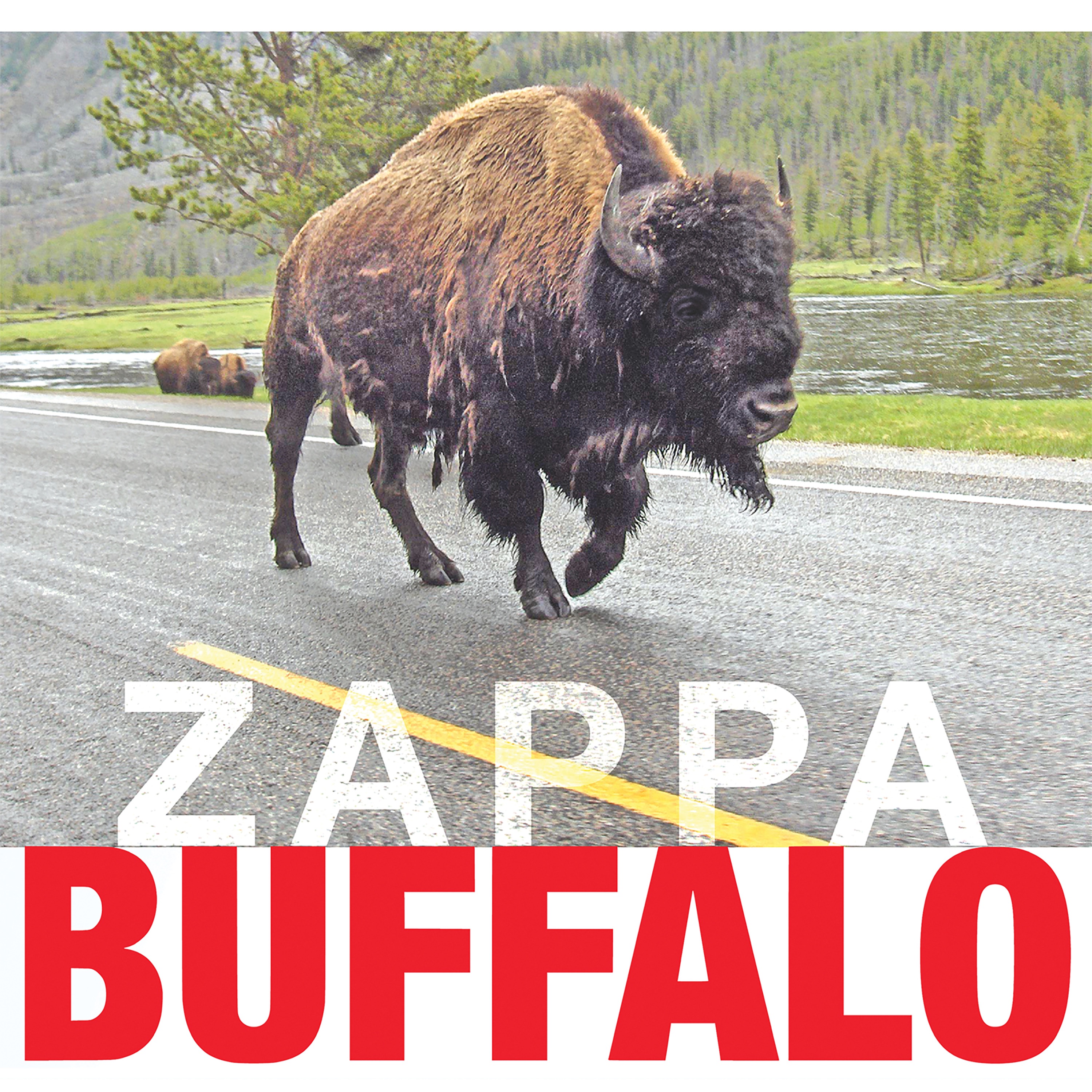 Buffalo (Live at Buffalo Memorial Auditorium, 1980) album cover