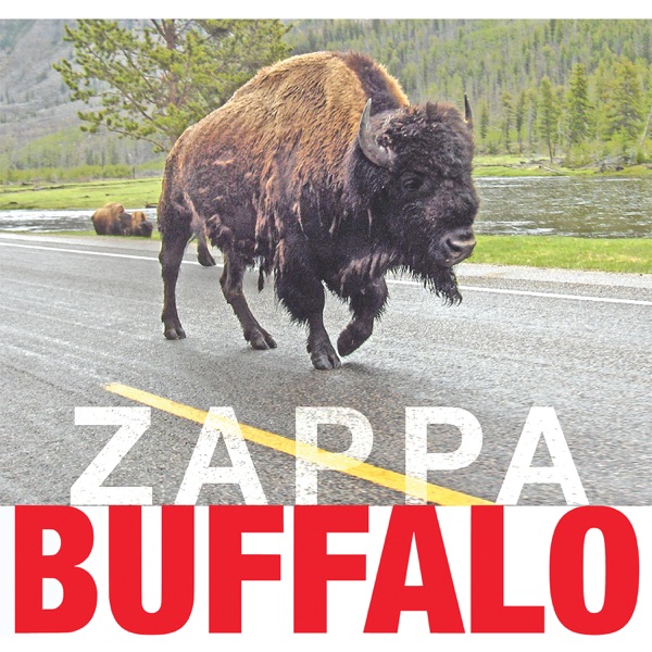 Buffalo (Live at Buffalo Memorial Auditorium, 1980) album cover
