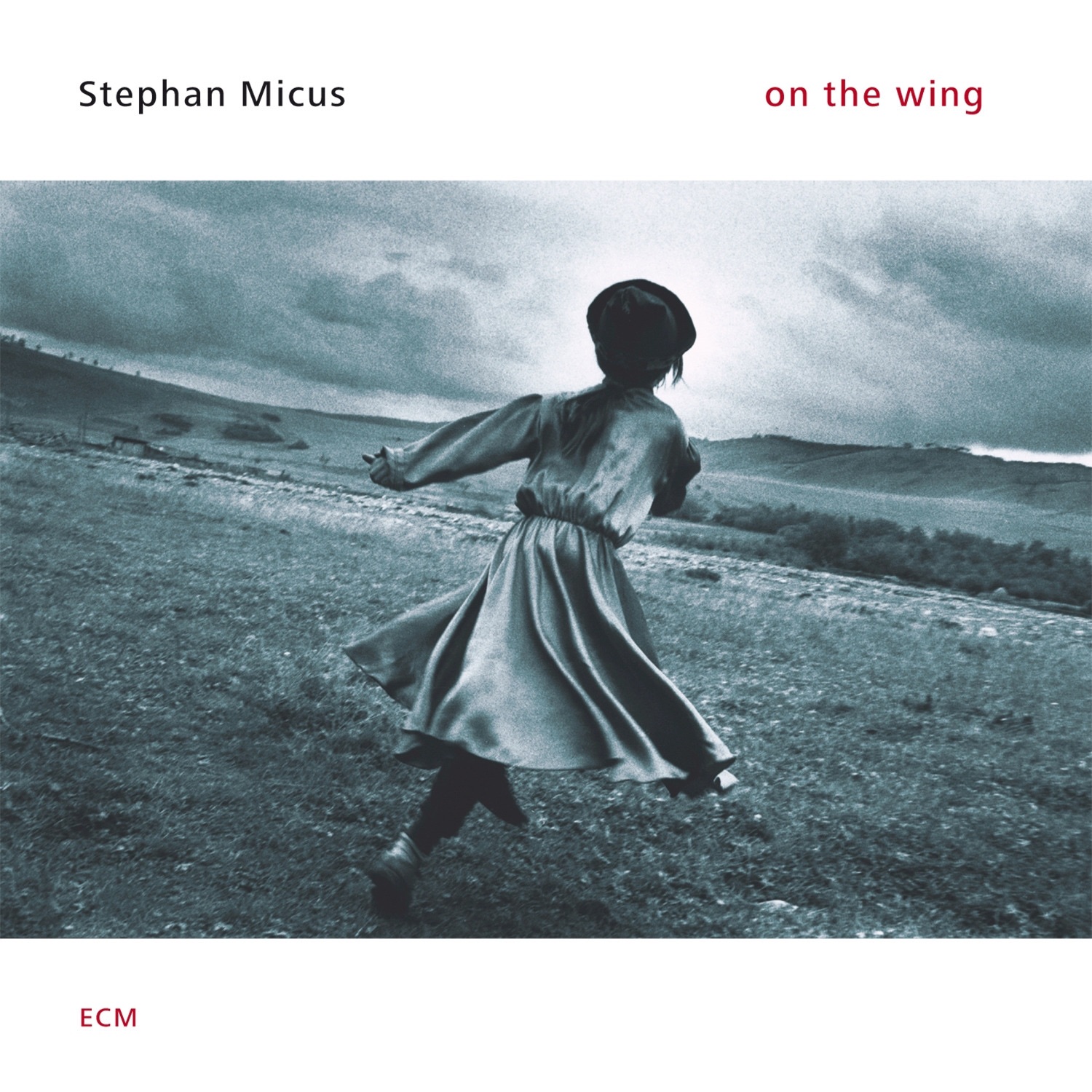 On the Wing album cover