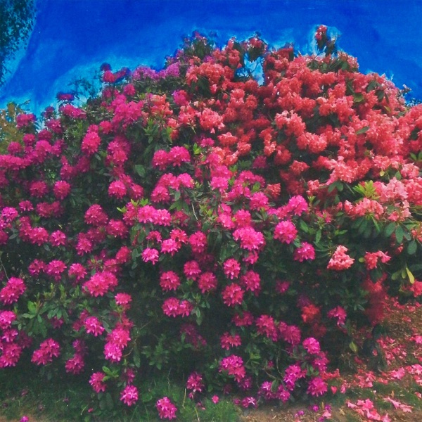 I Will Be Waiting (Baths Remix) [feat. Baths] - Single album cover