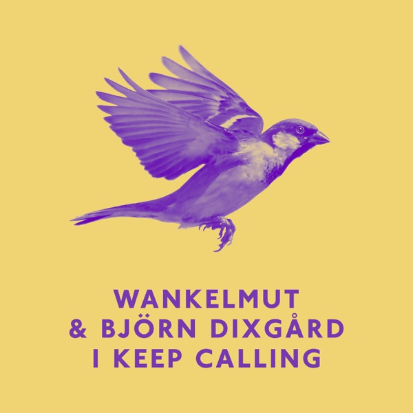 I Keep Calling - Single album cover