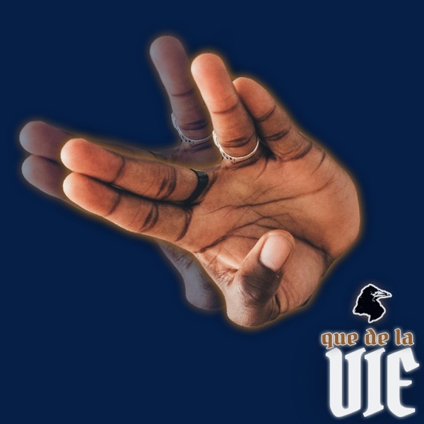 Que de la Vie (feat. Damso) - Single album cover