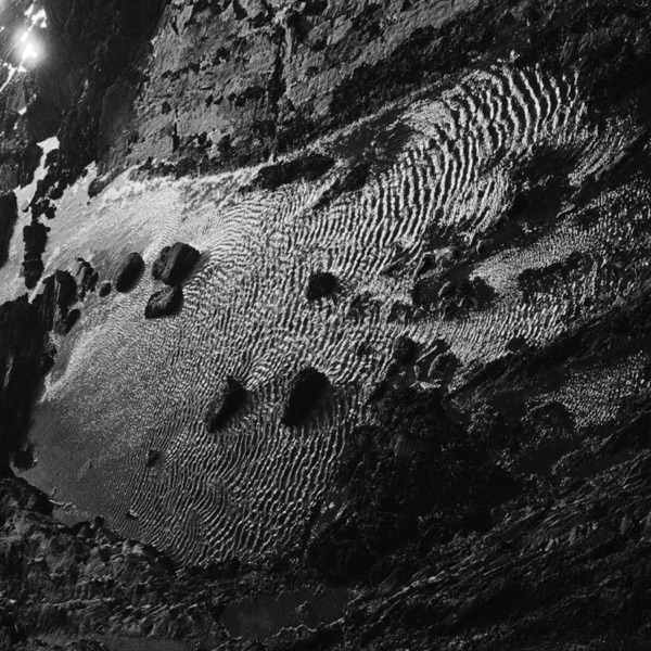 Scientists - Single album cover