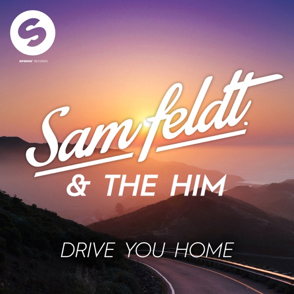 Drive You Home (feat. The Donnies The Amys) - Single album cover