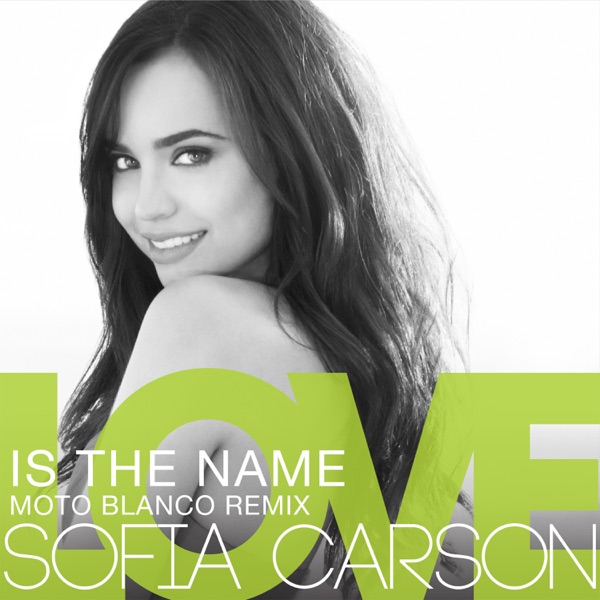 Love Is the Name (Moto Blanco Remix) - Single album cover