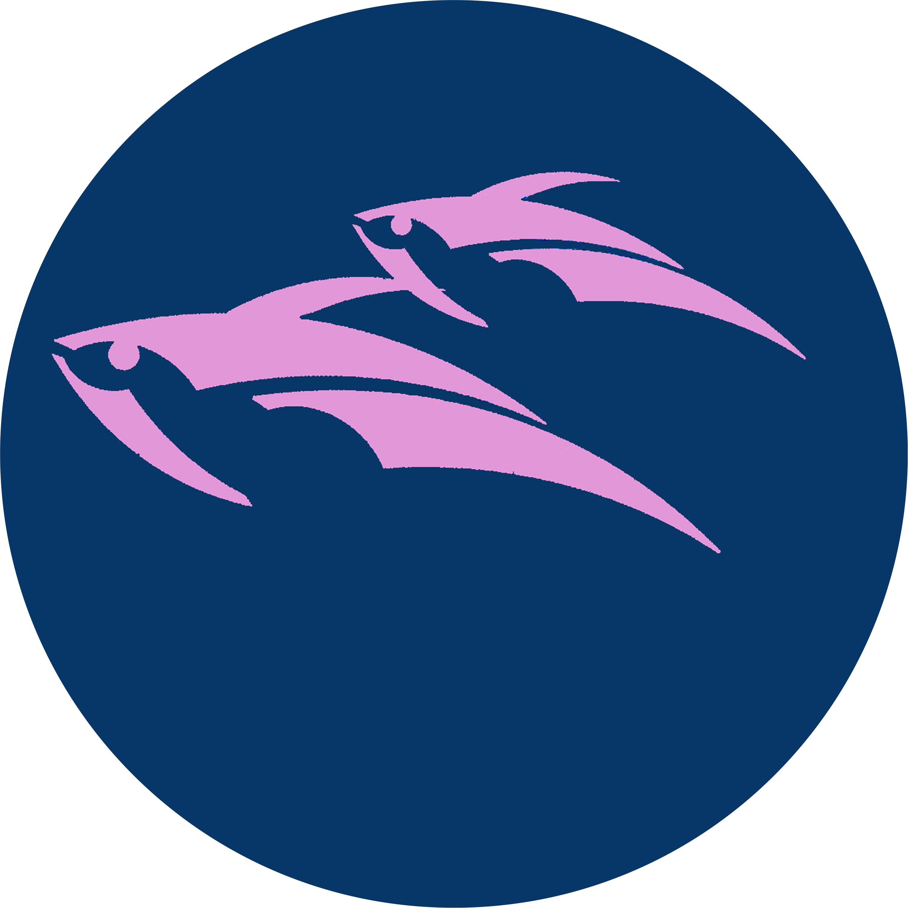 Flying Fishes in the Sky - Single album cover