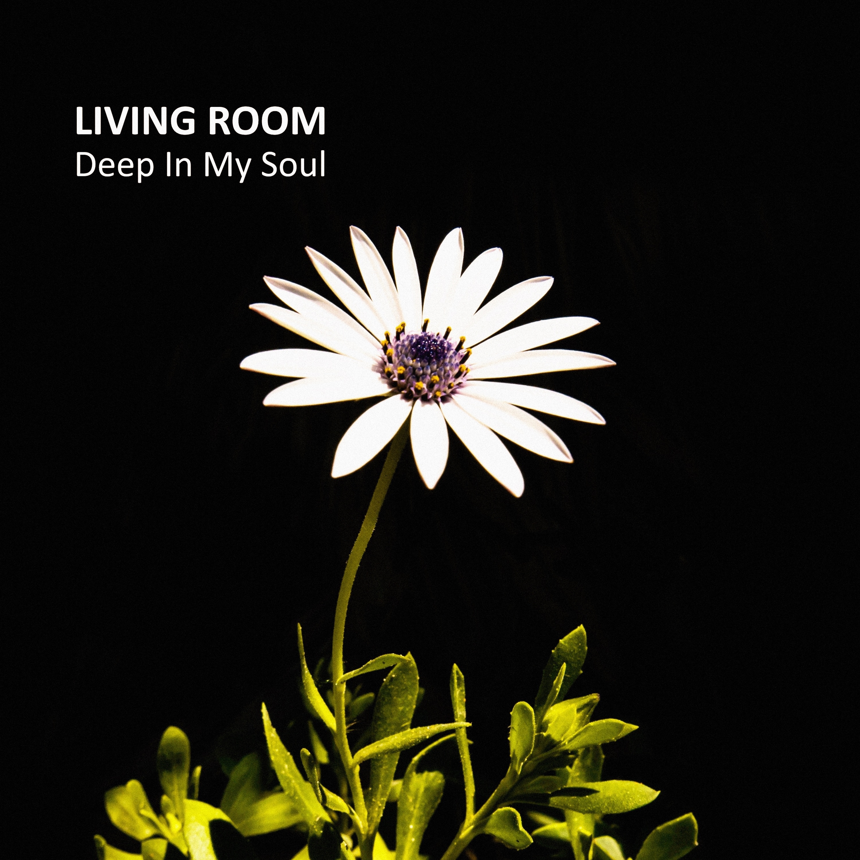 Deep in My Soul - Single album cover
