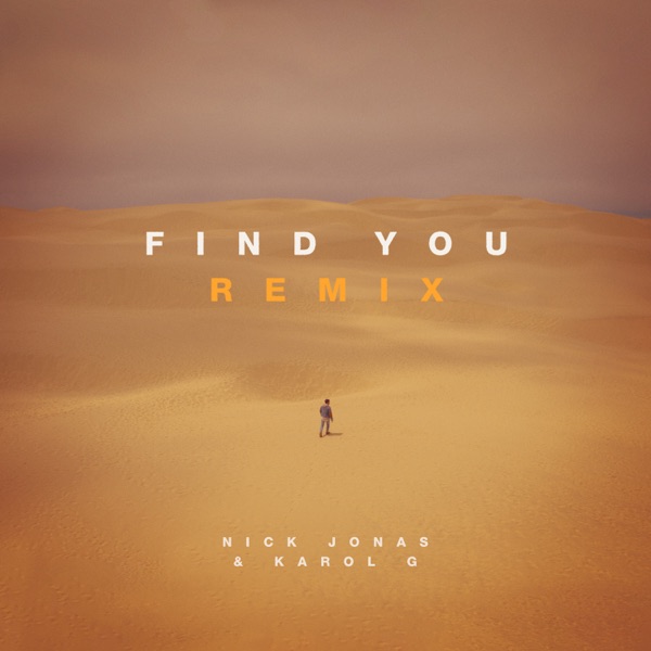Find You (Remix) - Single album cover