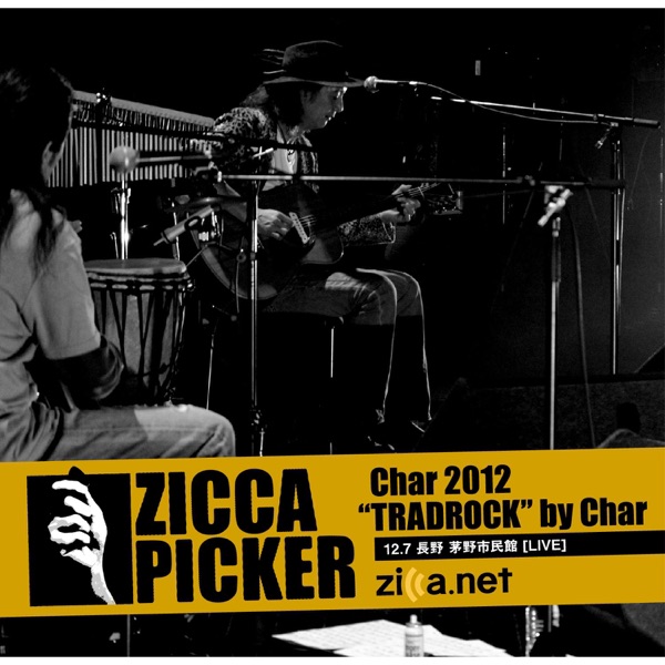 Zicca Picker 2012, Vol. 18 [Nagano] album cover