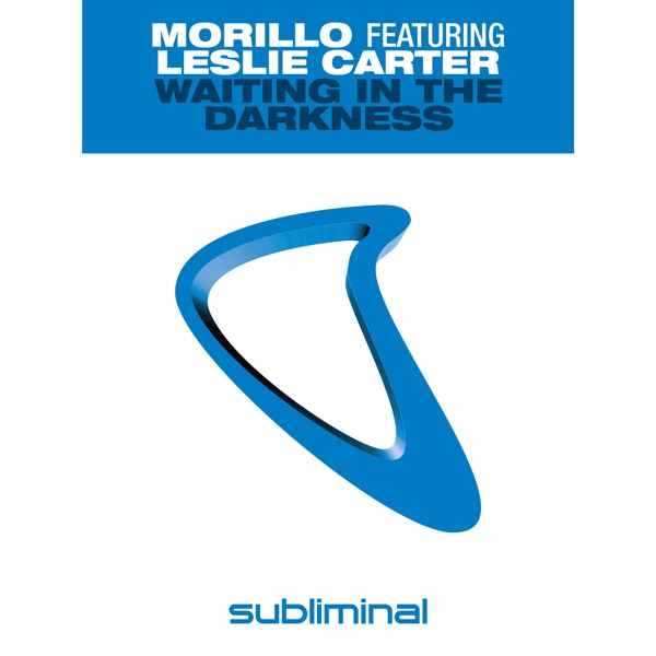 Waiting in the Darkness (feat. Leslie Carter) - Single album cover