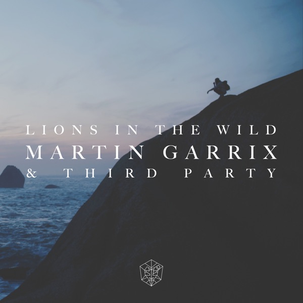 Lions in the Wild - Single album cover