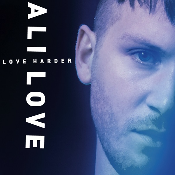 Love Harder album cover