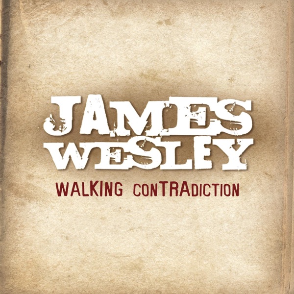 Walking Contradiction (Radio Edit) - Single album cover