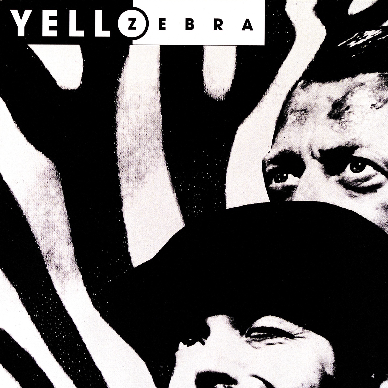 Zebra album cover