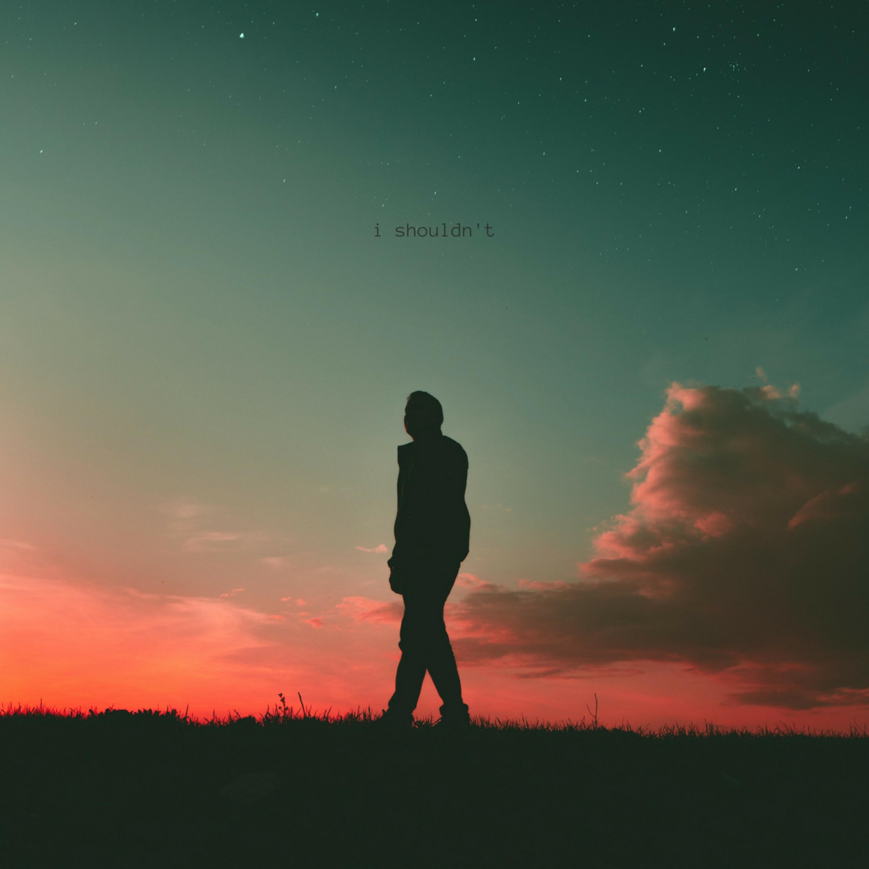 I Shouldn't - Single album cover