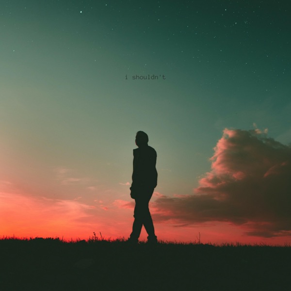 I Shouldn't - Single album cover