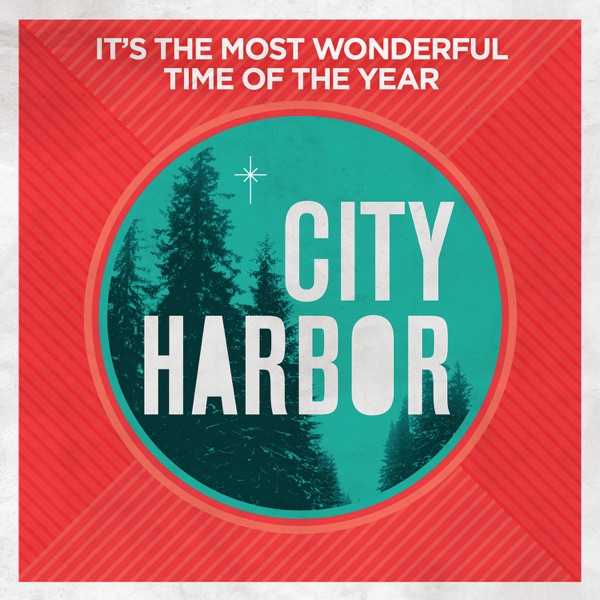 It's the Most Wonderful Time of the Year - Single album cover
