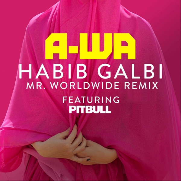 Habib Galbi (feat. Pitbull) [Mr. Worldwide Remix] - Single album cover