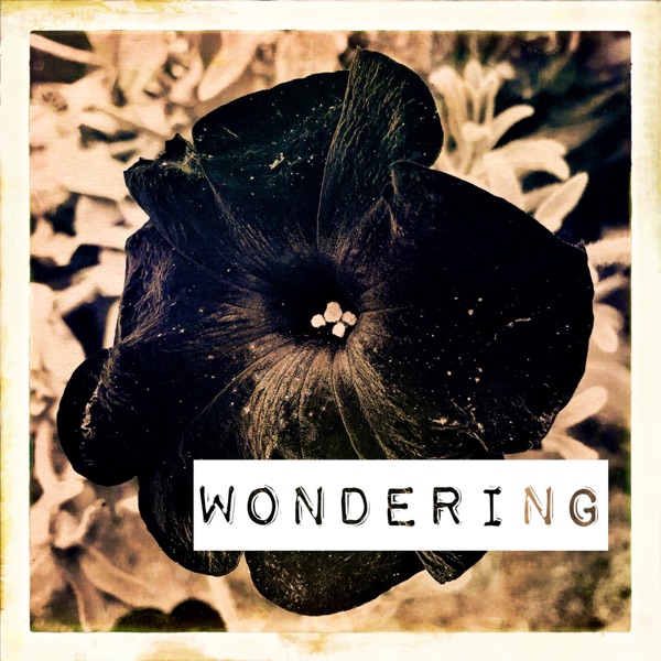 Wondering (feat. Dennis Le Gree) - Single album cover