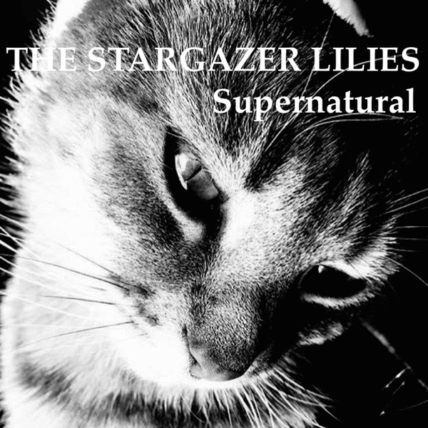 Supernatural - Single album cover