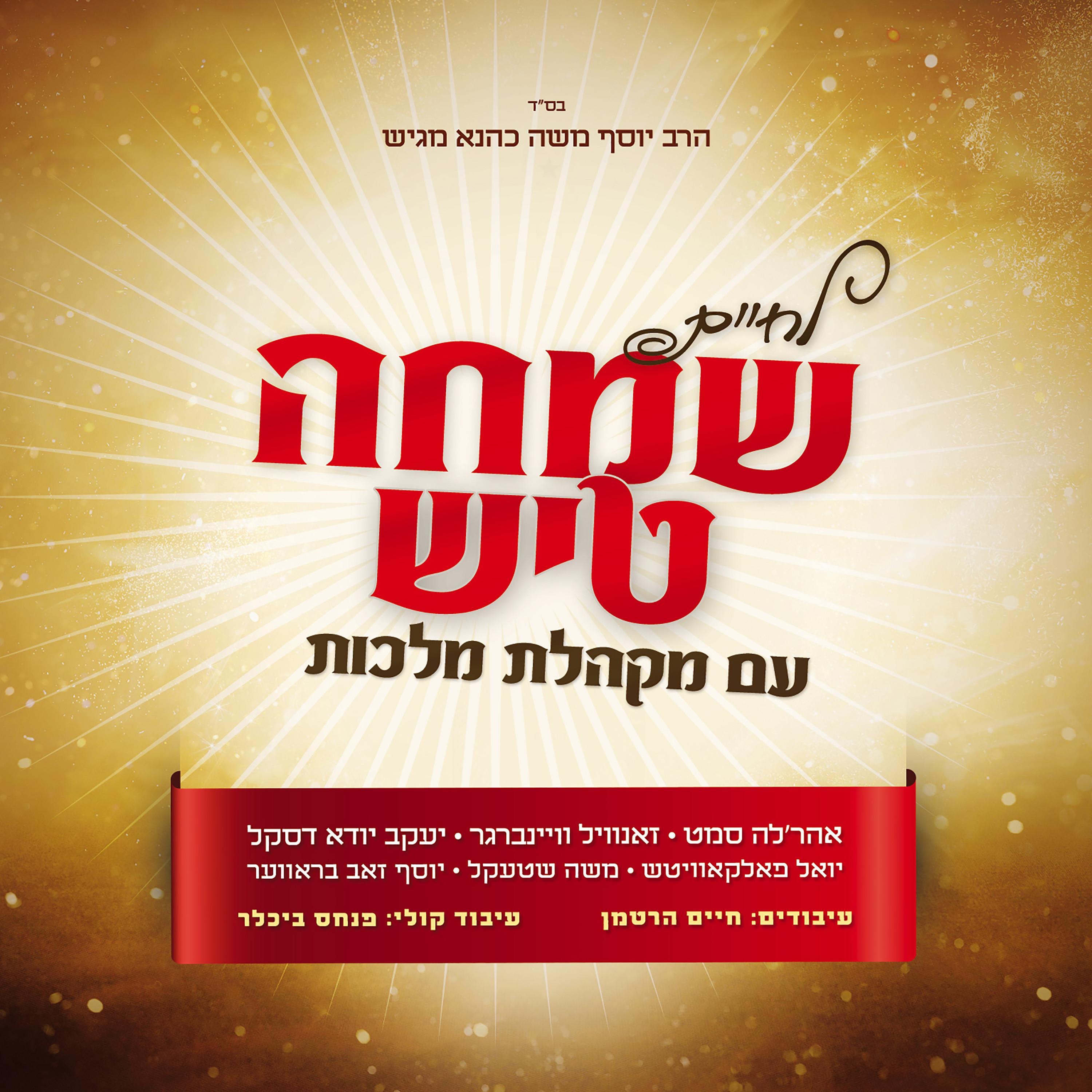 לחיים - שמחה טיש album cover