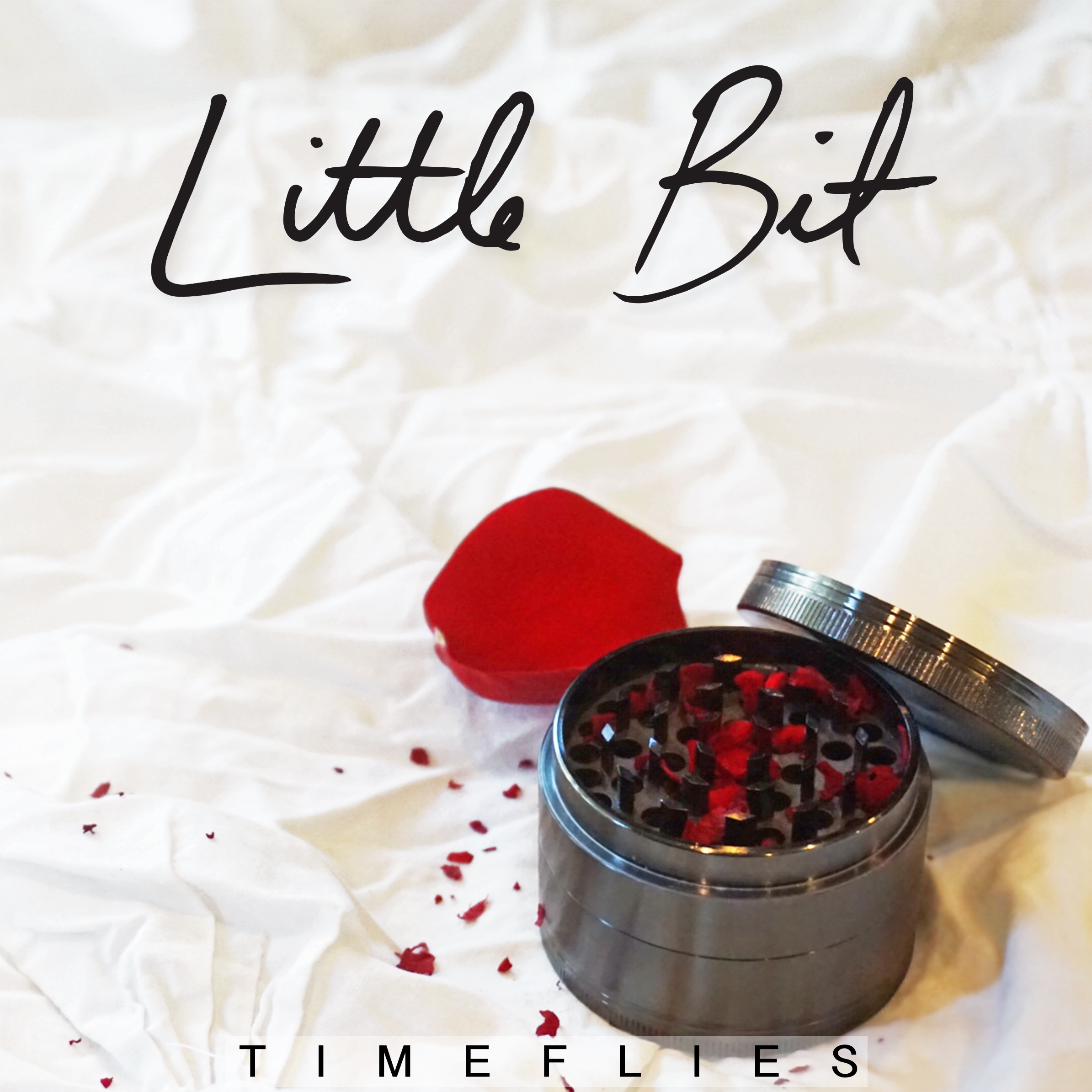 Little Bit - Single album cover