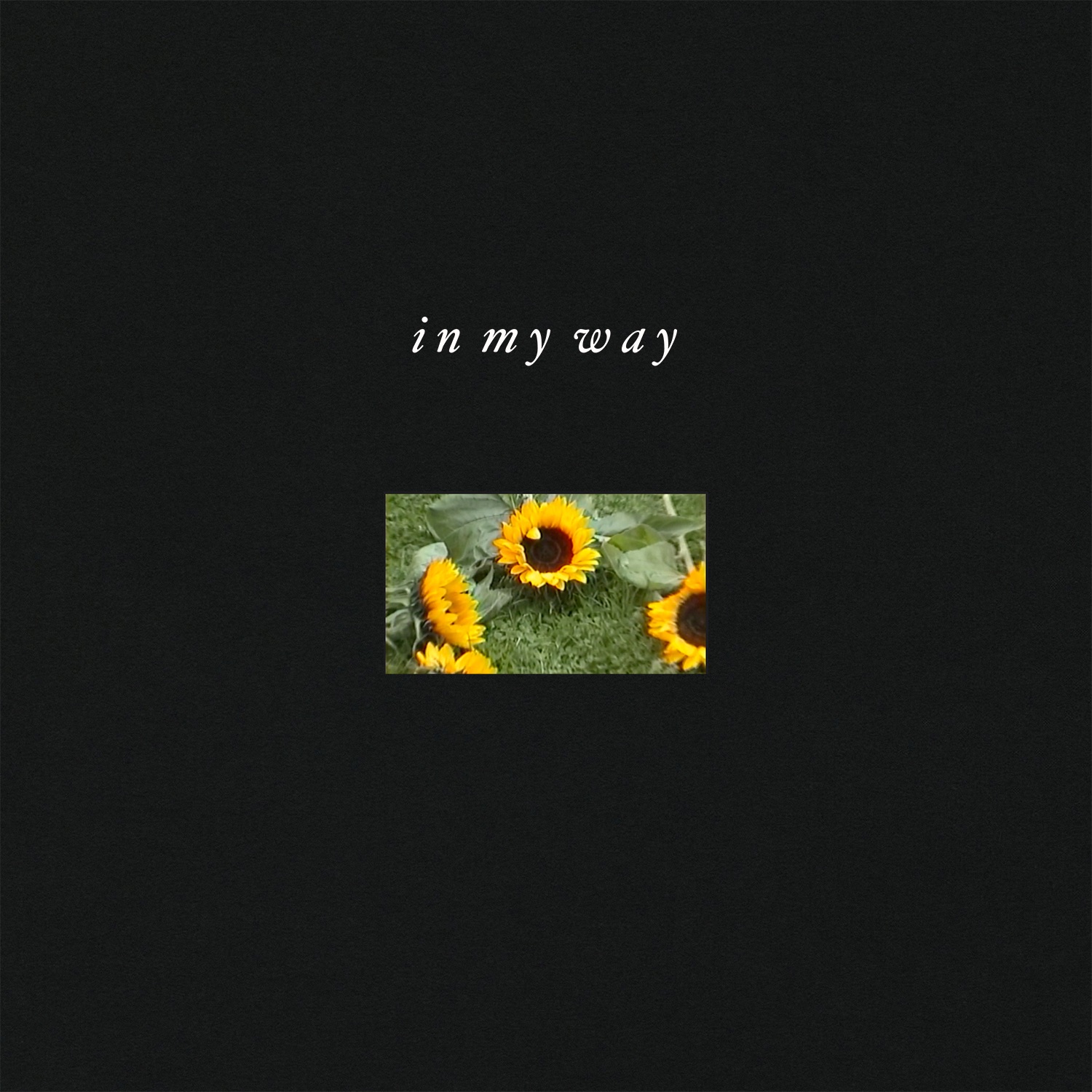 In My Way - Single album cover