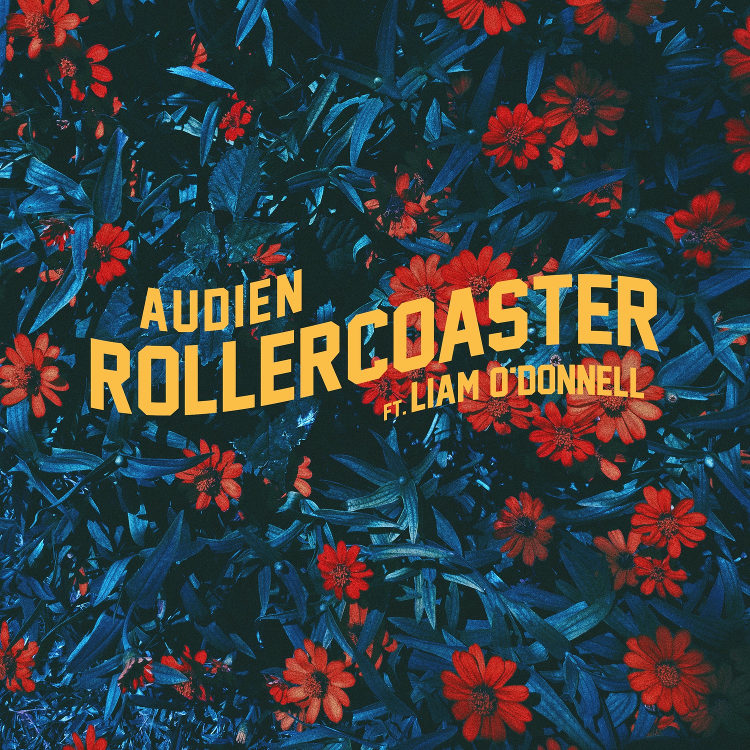 Rollercoaster (feat. Liam O'Donnell) - Single album cover