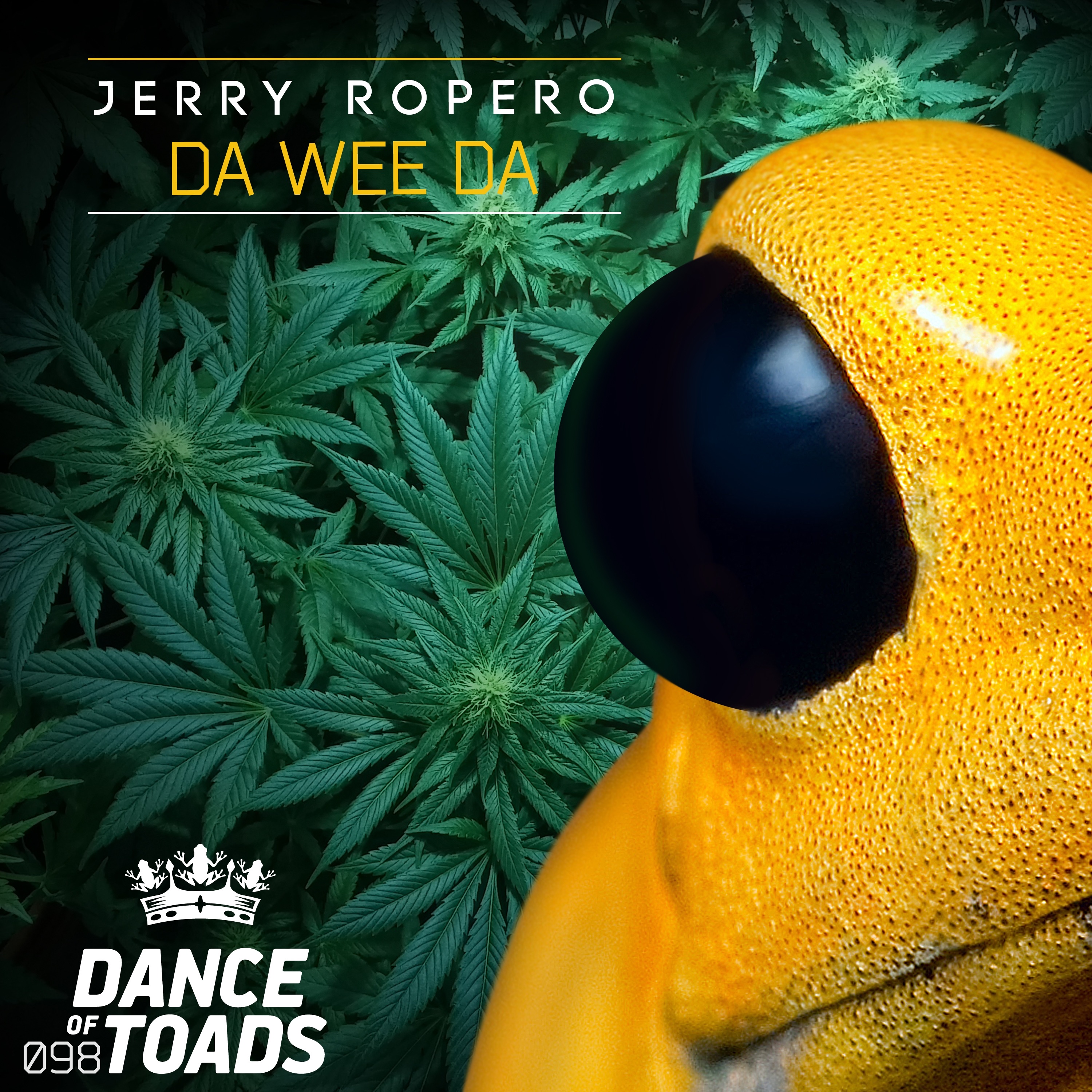 Da Wee da - Single album cover