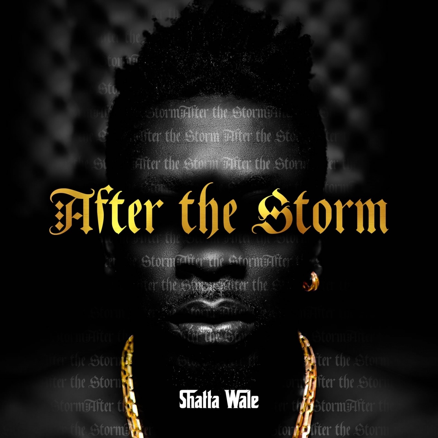 After the Storm album cover