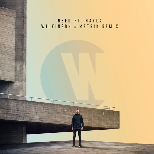 I Need (Wilkinson & Metrik Remix) [feat. Hayla] - Single album cover