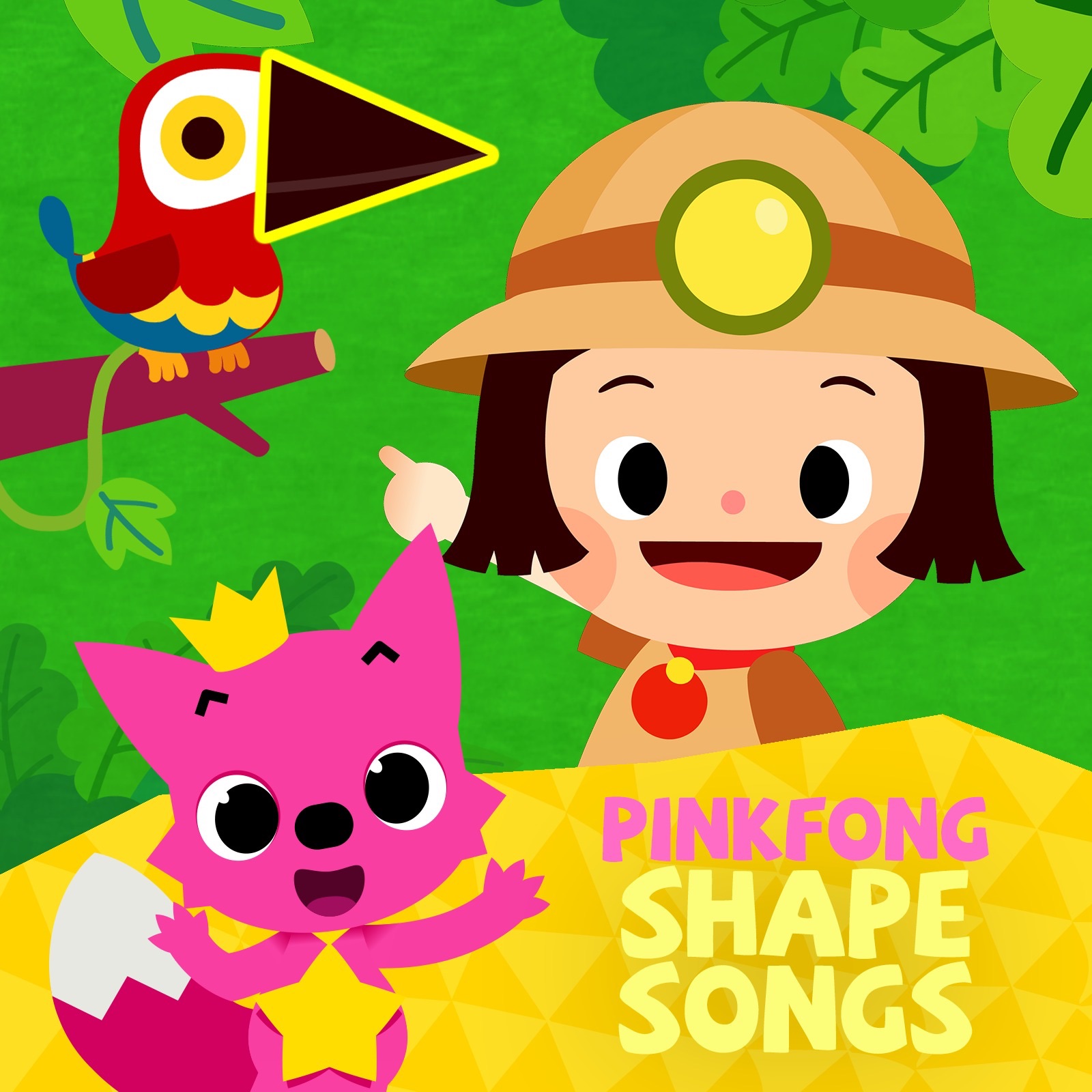 Shape Songs album cover