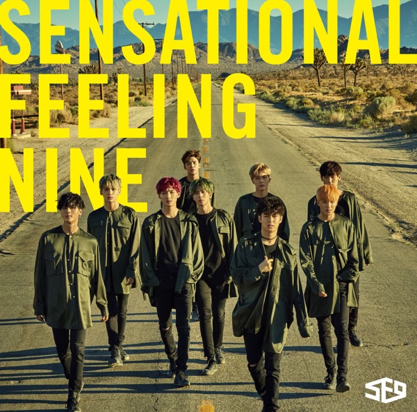 Sensational Feeling Nine album cover