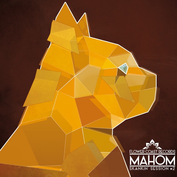 Skankin' Session, Vol. 2 album cover