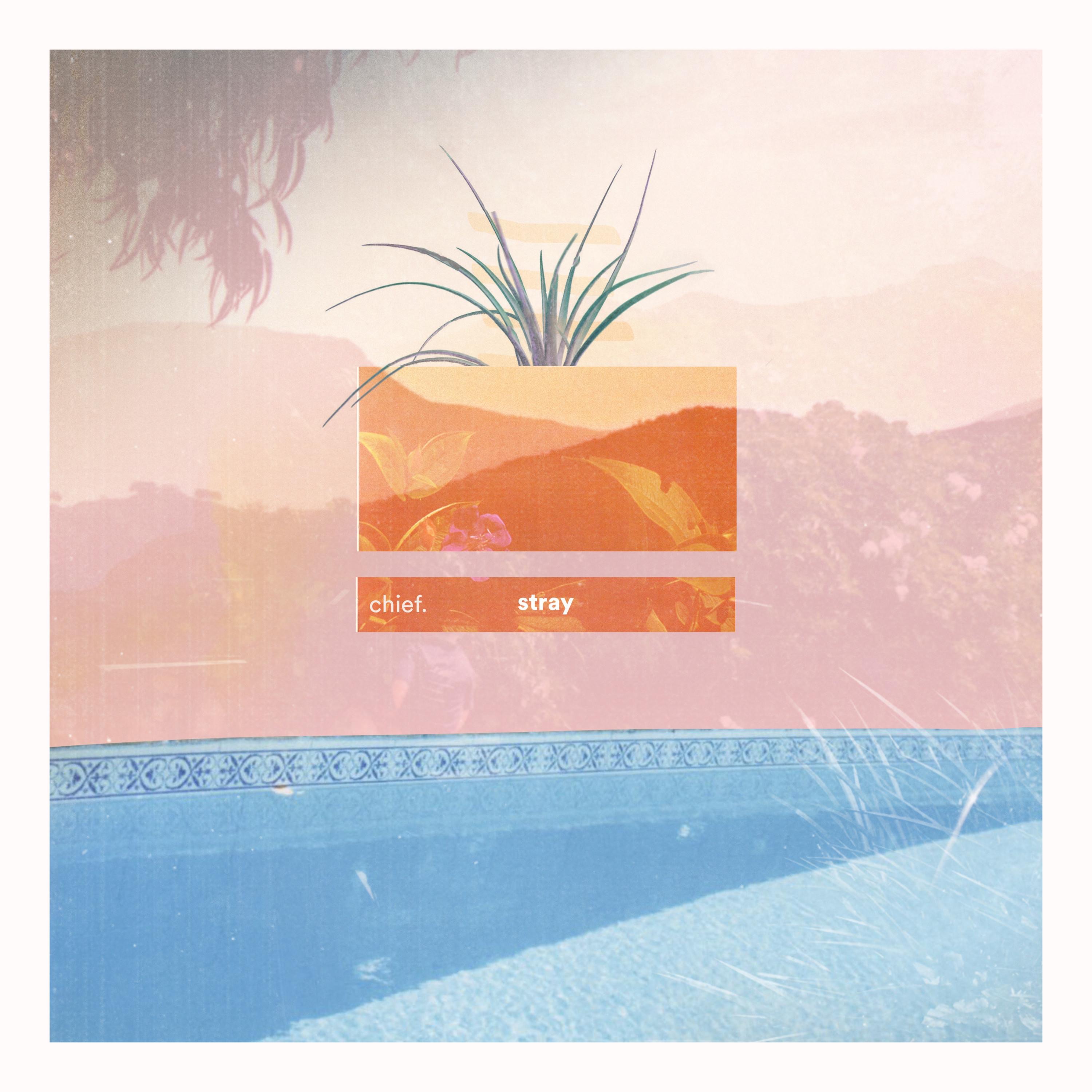Stray - EP album cover