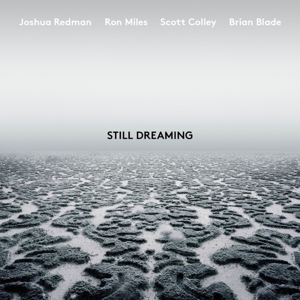 Still Dreaming (feat. Ron Miles, Scott Colley & Brian Blade) album cover
